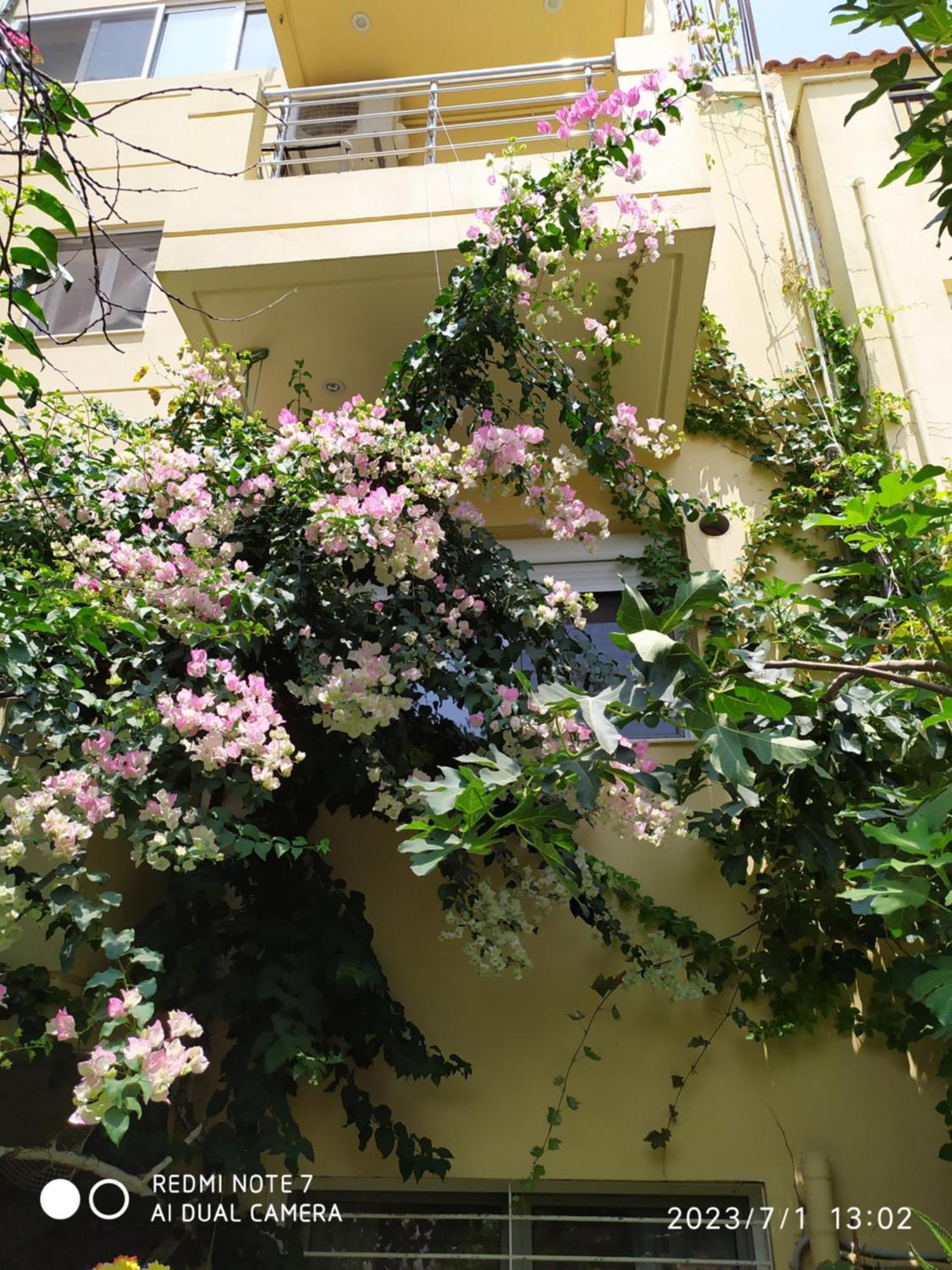 Georgia'S Family Apartment Heraklion  ภายนอก รูปภาพ