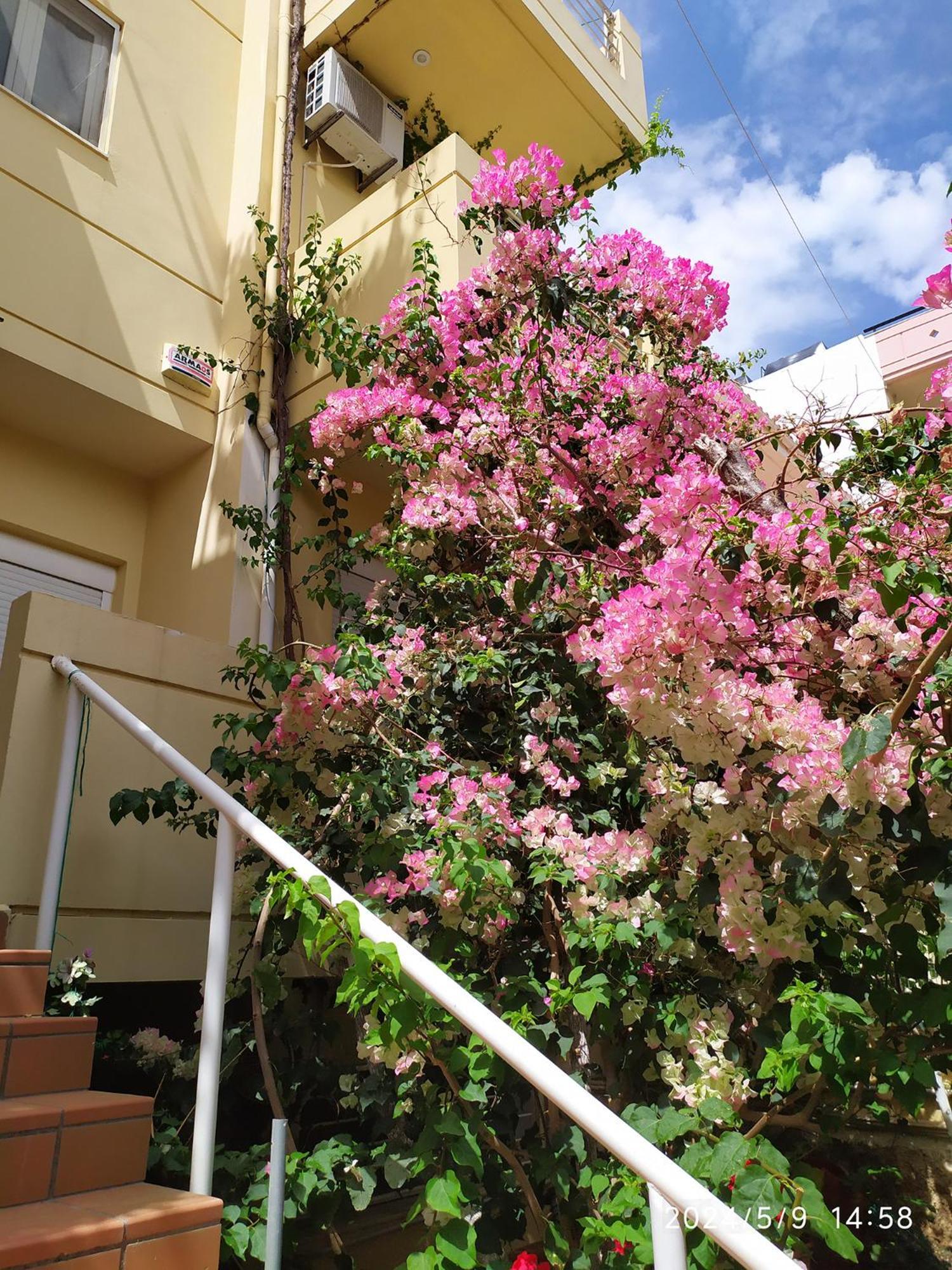 Georgia'S Family Apartment Heraklion  ภายนอก รูปภาพ
