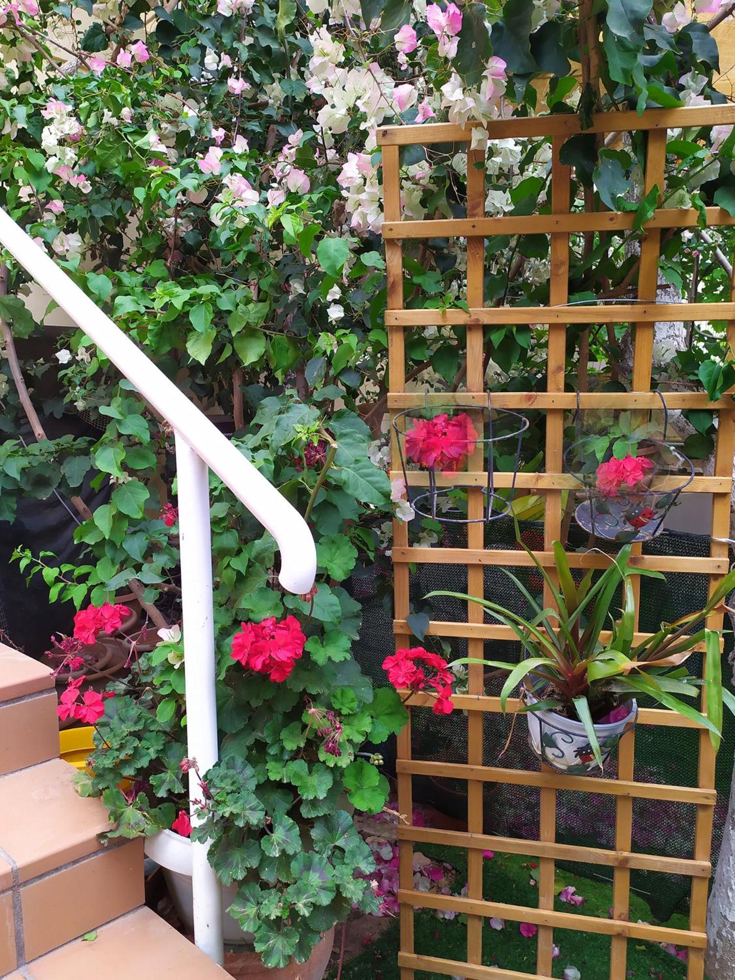 Georgia'S Family Apartment Heraklion  ภายนอก รูปภาพ